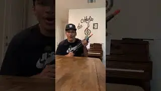 SALT GUN FOR PESKY BUGS! It’s hella fun. shoot bugs with salt! Does it hurt? Watch and see lol