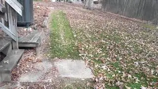 More leaf removal, lawnmower style - Part 1