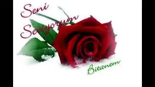seni seviyorum Bitanem