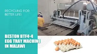 BTF4-4 Egg Tray Machine in Malawi: Producing 2500-3000 Trays per Hour
