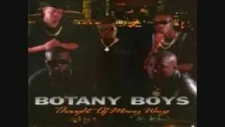 DJ EthER --   botany boys thought of many ways slowed and chopped
