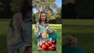 Как стать спелым и сочным экспертом, которого любят деньги?