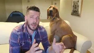 Bloodhound Review
