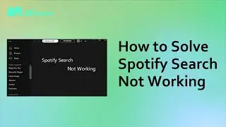 How to Solve Spotify Search Not Working