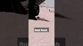 Dubai Beach k Nazary. #habibi #dubai #uae #dubailife