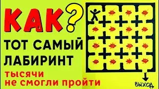 ТОТ САМЫЙ ЛЕГЕНДАРНЫЙ ЛАБИРИНТ - Головоломка. Только 1% найдёт решение головоломки. Загадка 