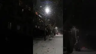 Снегопад в Ташкенте #shorts