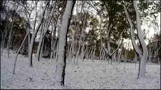 Snow  Winter  We sing the words of the first snow 雪。冬。初雪の言葉を歌う