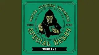 MF DOOM - Vinca Rosea (Drum Loop) 95 BPM