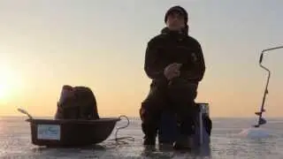 Отрывок из док. фильма 