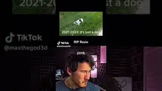 Farewell, Rose from FGTeeV