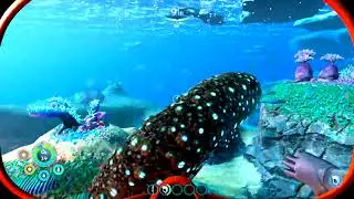 SUBNAUTICA BELOW ZERO - Survival  Playthrough