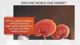 3. DXN Business Opportunity Meeting (BOM