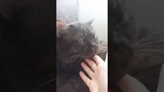 Моя зайка😍 