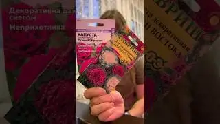 Посев декоративной капусты 🪸