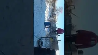 Қыста сольто үйрену