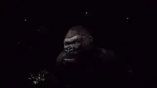 Skull Island Reign of Kong Right Side POV (No Double Vision)