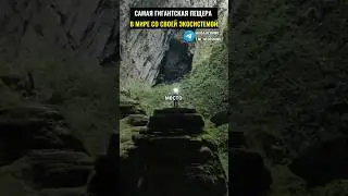 Самая большая в мире пещера со своей экосистемой и странными животными