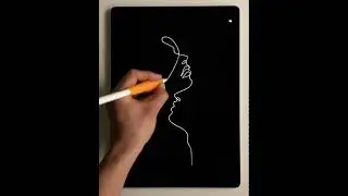Single Line Drawing Compilation Video