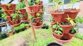 vertical gardening drip irrigation system part 1
