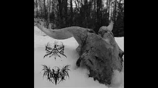 SAD - The Five Skins of Illusion