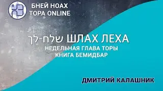 Недельная глава Торы - Парашат а-шавуа - 
