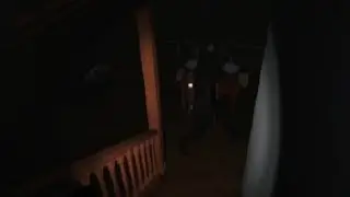 ЧЕРНЫЙ ЧЕЛ В ДОМЕ ПОН