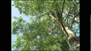 За Югом Рекою