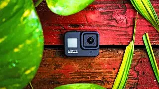 How To Get THE MOST Out Of Your GOPRO (In-Depth Tutorial)