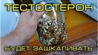 ВСЕГО 2 ПРОДУКТА, КОТОРЫЕ ПОДНИМУТ ТВОЙ ТЕСТОСТЕРОН НА  МАКСИМУМ!