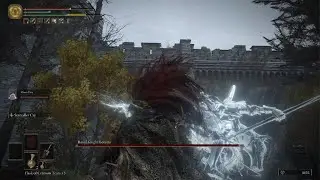 ELDEN RING PRAISE THE MIMICRY