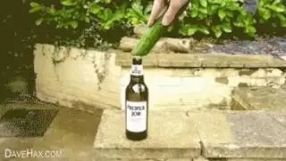 Как открыть пиво Огурцом