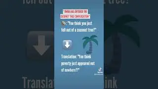 For those confused with Kamala’s #coconuttree reference!