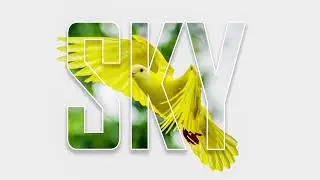 how to create Typography Poster Design in Photoshop | Masking Effect Tutorial #photoshop
