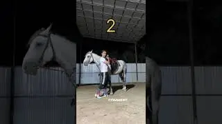 ЭКСКЛЮЗИВ 15. #horse #кони #асау #лошади #жеребец #жылкы #shorts