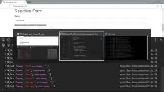[Angular 2+ Forms and Validation] Lesson12   Adding More Validations
