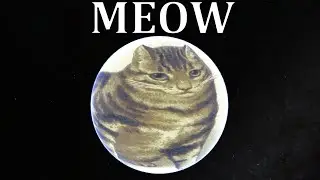 Medieval Cat Laws - Laws for your Medieval Cat