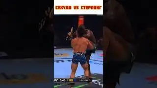 Сехудо vs Стерлинг | Как вам бой? #ufc288 #mma #ufc #сехудо #стерлинг #мма