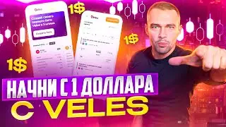 Почему боты Veles — лучший выбор для начинающих криптотрейдеров