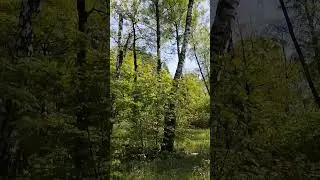 Скоро лето/4 мая 2023 г.