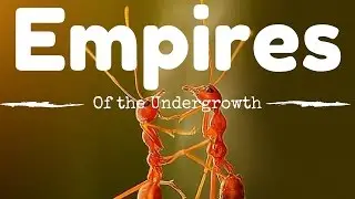 Death to the Ant Queen - Lets Play Empires of the Undergrowth - Modern Day Sim Ant Gameplay