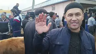 Андижон вилояти Коргонтепа хайвон бозори Факат сотилганлари 23.10.2023