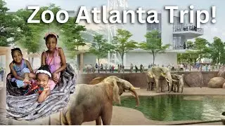 Zoo Atlanta Trip to see Giant Pandas before they leave #zoo #giantpanda #atlanta