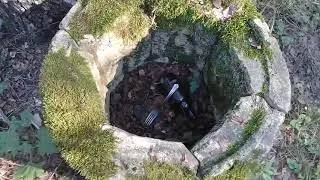 Лес Жары . Зона Отчуждения. Волк ТВ.