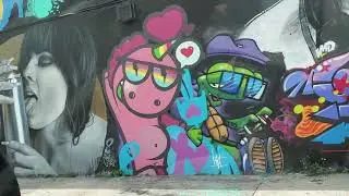 Florida Travel Vlogs Compilation