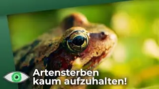 Eine Million Arten sterben aus: Ministerin Julia Klöckner ist das egal! - Clixoom nature