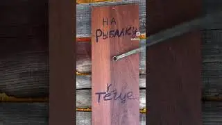 Телеграмм «Рыбалка с рыбанутым» #shorts