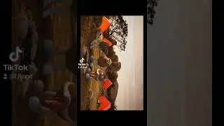 Five Nights in Anime 3D | I didn't know you were allowed to keep monkeys at home | Shorts