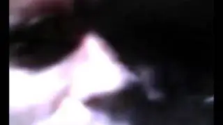St1tch Comes out of the closet