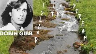 robin  gibb - islands in the stream  / touching lovesong~ live  performance